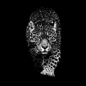 Posh with Me! ❤️